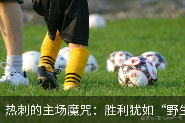 热刺的主场魔咒：胜利犹如“野生动物”的稀有寻踪