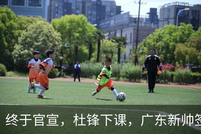 终于官宣，杜锋下课，广东新帅签约，37岁，塞尔维亚，刚结束意甲执教